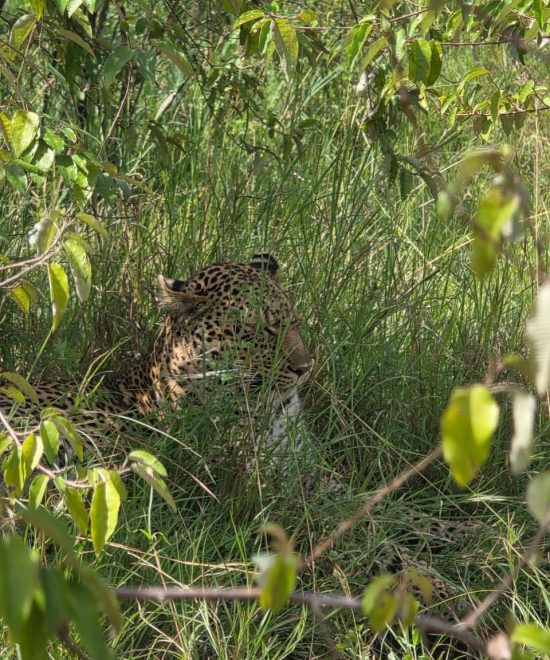 TSAVO EAST NATIONAL PARK 3 DAYS 2 NIGHTS GROUP TRIP
