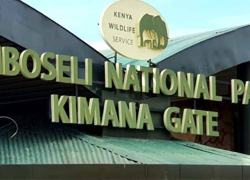 AMBOSELI NATIONAL PARK 3 DAYS 2 NIGHTS GROUP TRIP