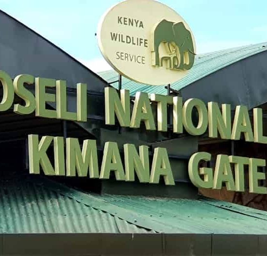 AMBOSELI NATIONAL PARK 3 DAYS 2 NIGHTS GROUP TRIP
