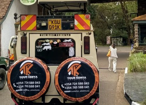 NAIROBI NATIONAL PARK AND GIRAFFE CENTRE DAY TRIP
