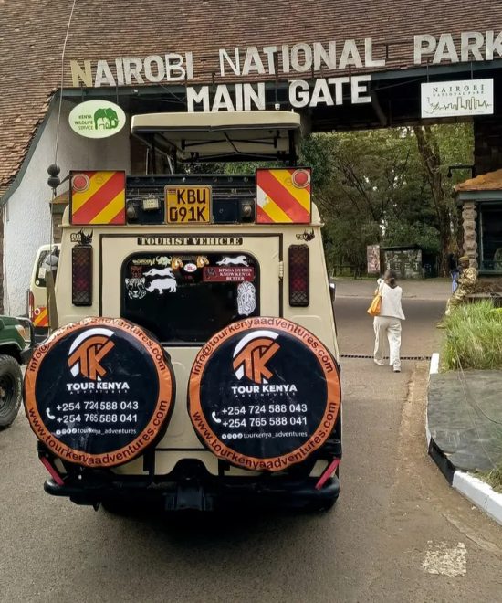 NAIROBI NATIONAL PARK AND GIRAFFE CENTRE DAY TRIP