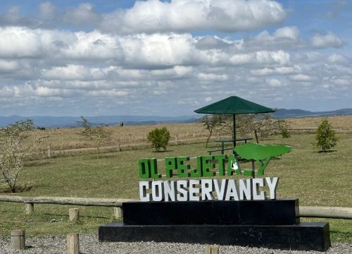 OL PEJETA CONSERVANCY 3 DAYS 2 NIGHTS GROUP TRIP